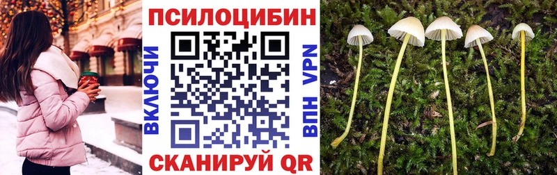 Галлюциногенные грибы мицелий  hydra tor  Макаров 